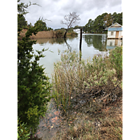 King tide Hampton Virginia image